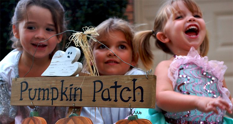 Trick AND treat your guests this weekend with these 5 Halloween party ideas!