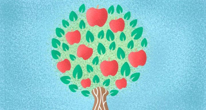 Blogging for Apples - Fun Facts for National Apple Month - Learning Liftoff