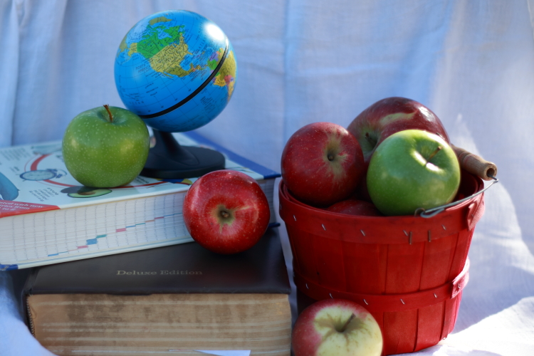 Basket of apples with books and globe