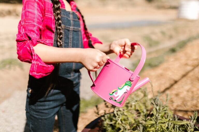 A girl uses a pink watering can to water a plant outside.