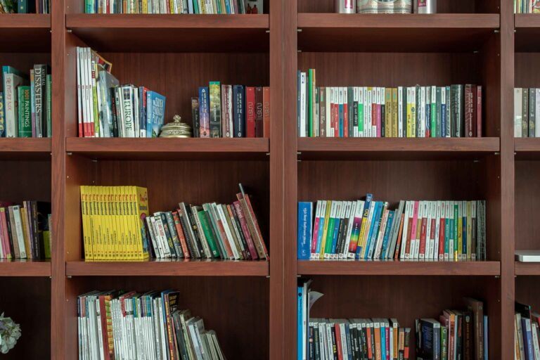 Library shelves with books image